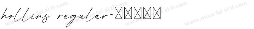 hollins regular字体转换